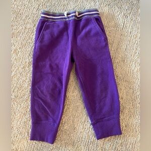 Hanna Andersson Purple Kids Joggers Size 3T